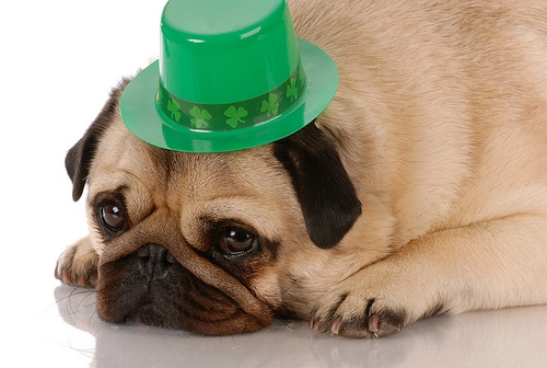 St. Patrick’s Day